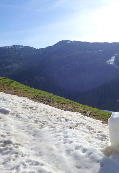Dank Kunstschnee gehts bis weit ins Frühjahr hinein zum Skifahren