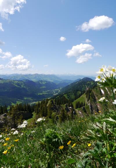Ausblick vom Siplinger Kopf