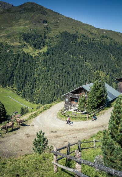 Idyllische Lamark-Almen