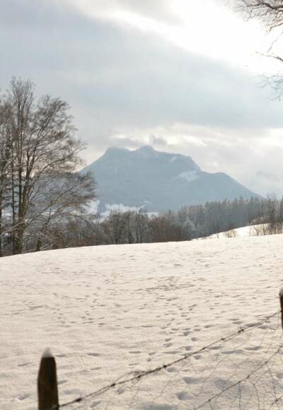 Winterlandschaft Samerberg
