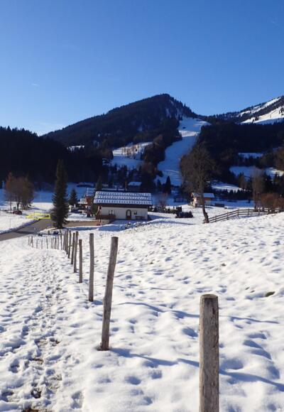 Abstieg vom P 2 zur Heutalstraße