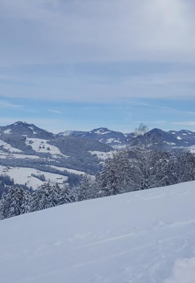Blick von Tannen nach Langenegg