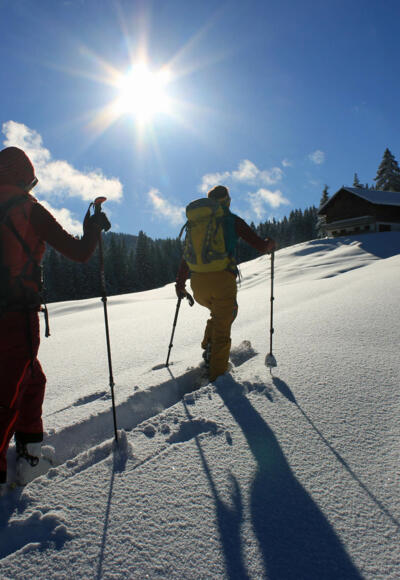 An der Stadelmannburstalpe