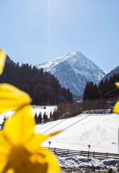 Waldcafe_Stubai-4969