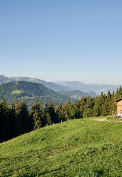 Alpe Schwarzenberger Platte im Lecknertal