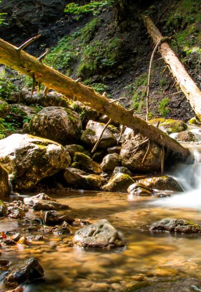 Die Reichenbachklamm