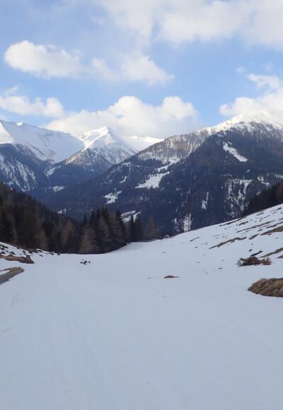 Blick Richtung Pleißnitzkogel - Gröbnitzen