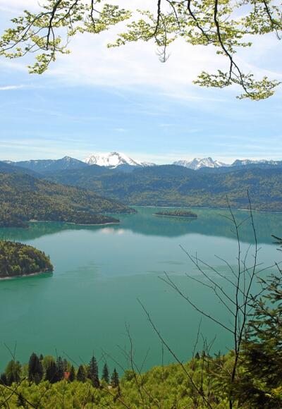 Blick vom Reitweg auf den Walchensee