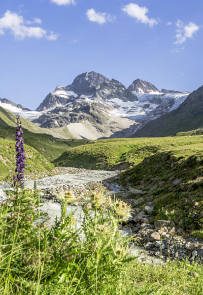 Piz Buin