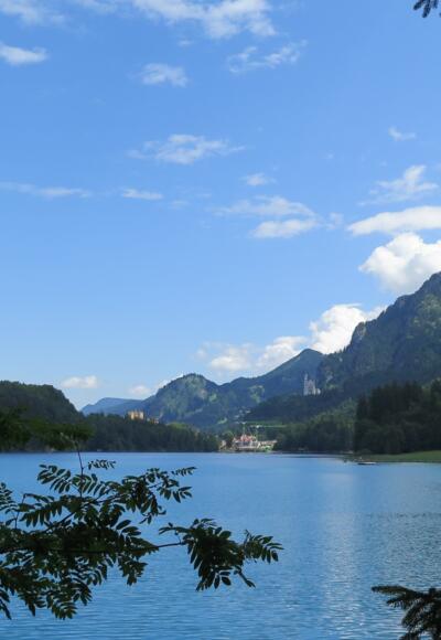 Der Alpsee