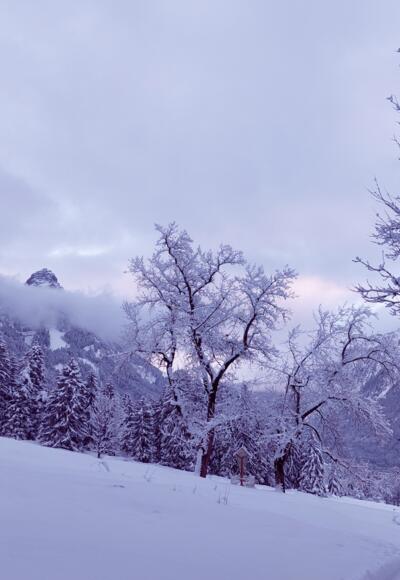 Blick zurück zum Allmeinkreuz, im Hintergrund der Roggelskopf
