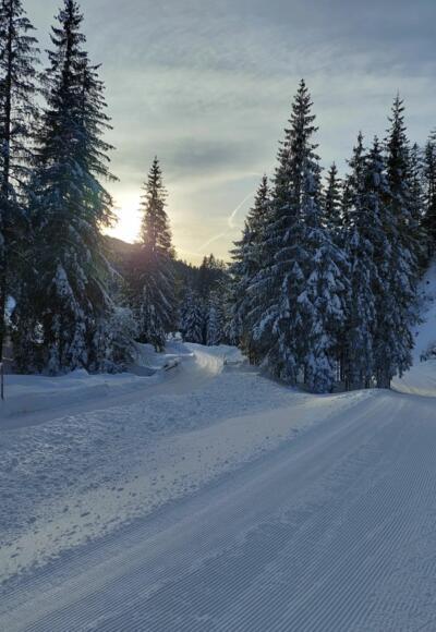 Winterwandern im Neubachtal