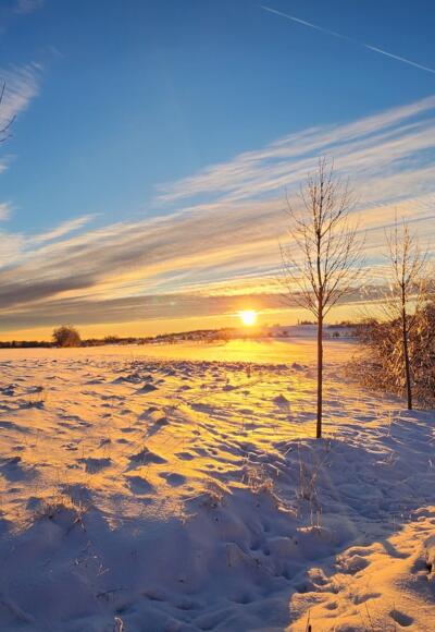 Winterlandschaft zwischen Birx und Frankenheim