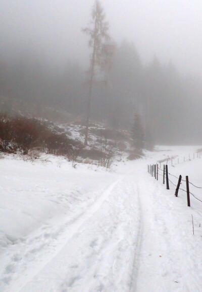 Anfangs auf einem Fahrweg