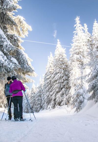 Auf dem Skiwanderweg Rennsteig