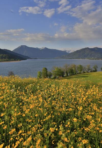 Blick von Kaltenbrunn auf den Tegernsee
