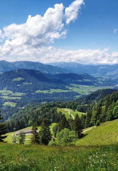 Blick in den Bregenzerwald