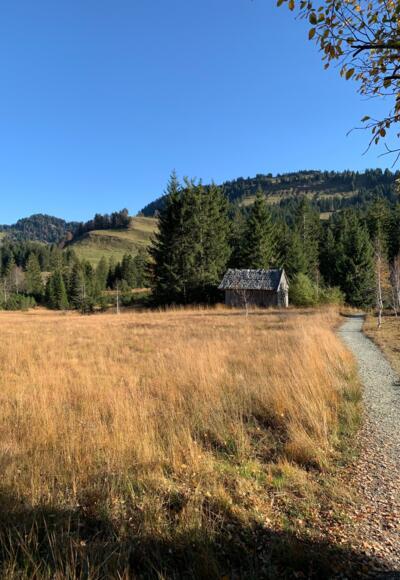 Häderichmoor im Schutzgebiet