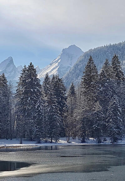 Böcklweiher