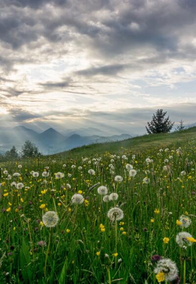 Aussichtspunkt Kaltenbrunnen oberhalb von Egg