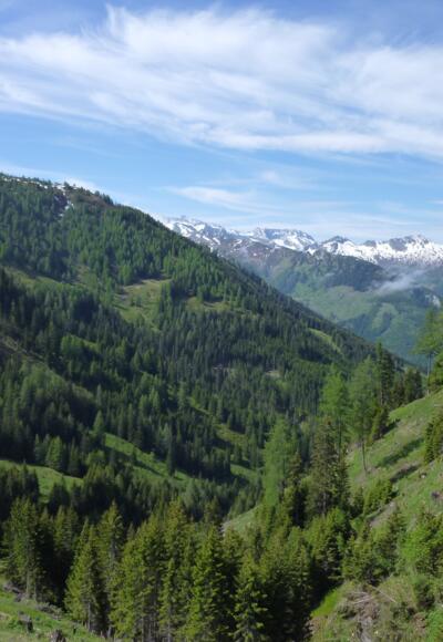 Aufstieg zur Draugsteinalm