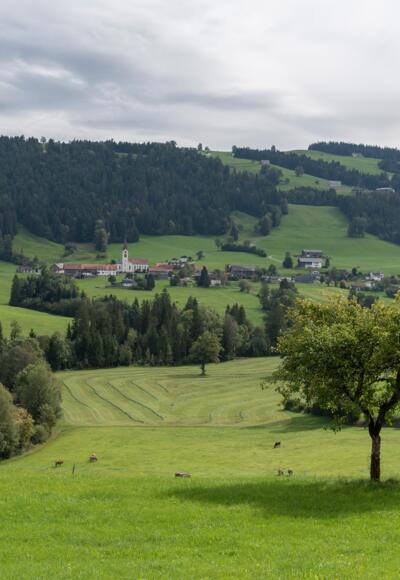 Blick auf Thal