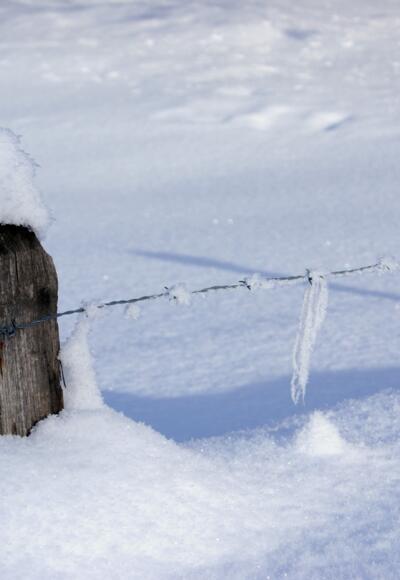 Winter in der Schönau