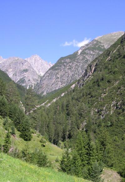 Blick Richtung Steinseehütte