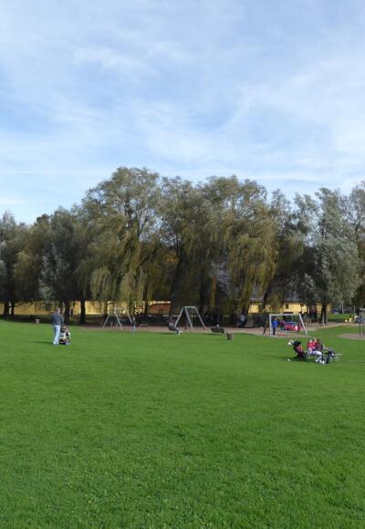 Die große Wiese im Schlosspark bietet Platz für viele Aktivitäten.