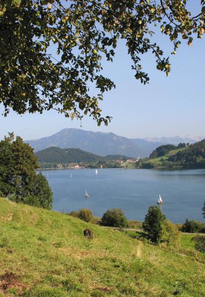 Blick auf den Großen Alpsee