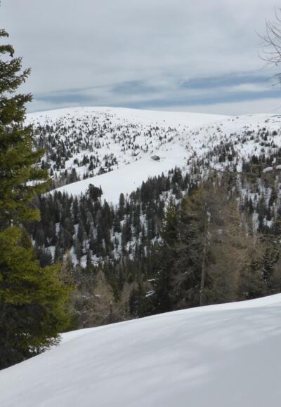 Am Lenzenbühel Nordrücken