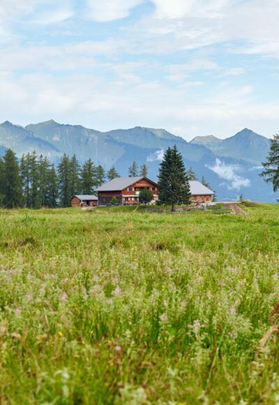 Alpe Rona auf dem Hochplateau Tschengla
