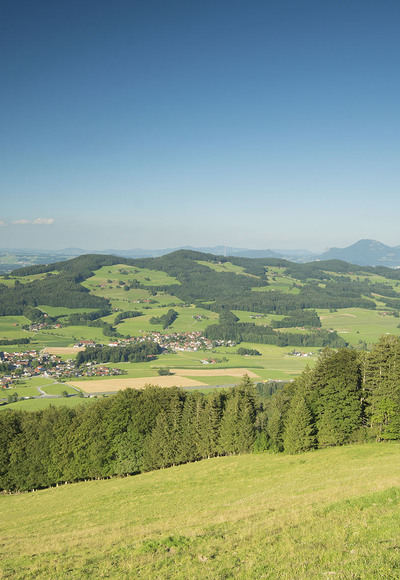 Roha-Fotothek Fürmann - Ausblick Fürmann Alm auf Högl