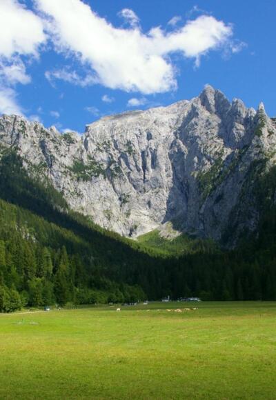 Scharitzkehlalm