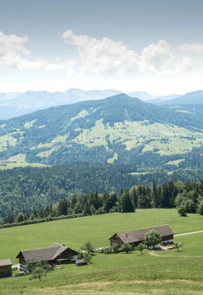 Aussicht von Doren