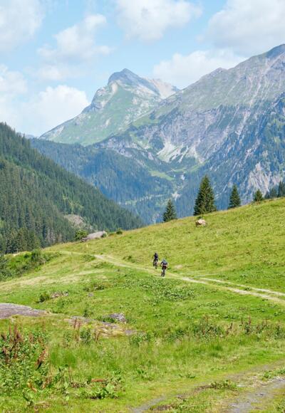 Herrliche Alp- und Berglandschaft im Nenzigasttal