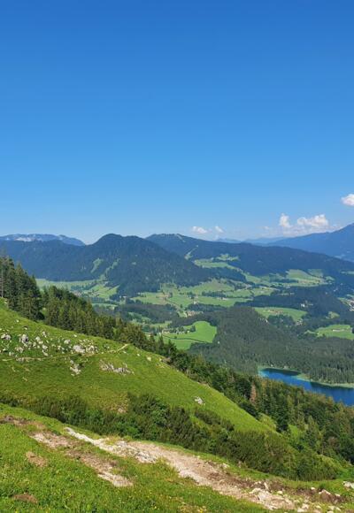 Halsalm_11