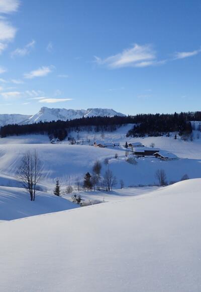 Tiefer Winter in Krispl