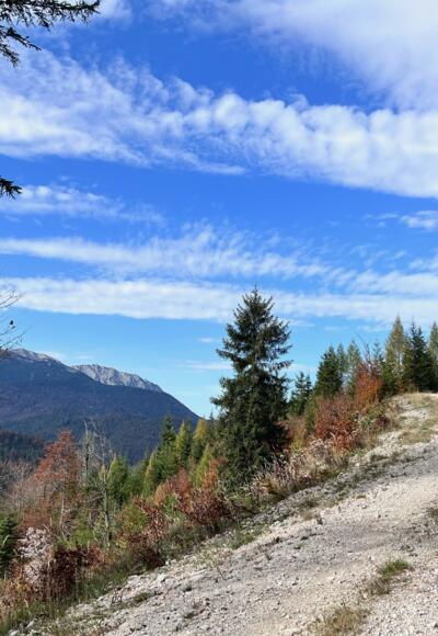 Steinbergrunde