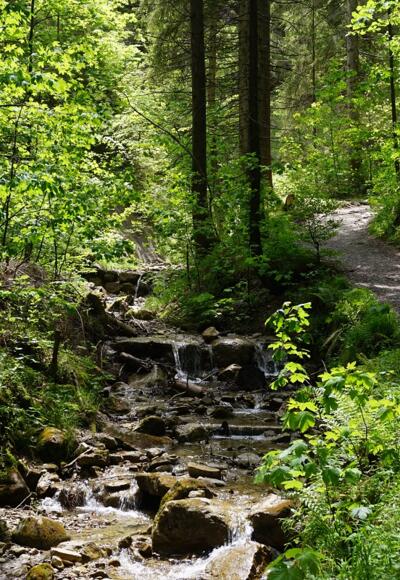 Logenplatz-Route Wasserfallweg