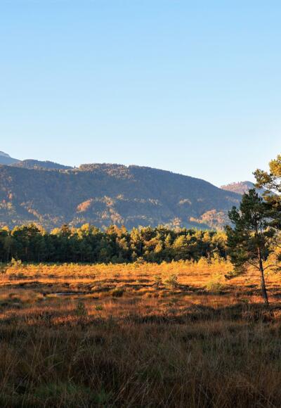 Rottauer Hochmoor