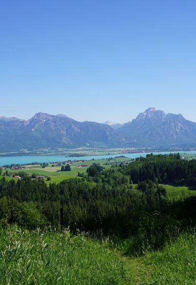 Logenplatz auf der Königsalpen-Route