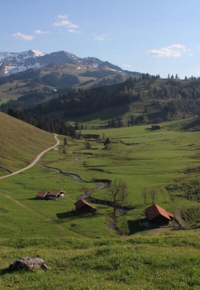Arzmoos Almen mit Traithen im Hintergrund