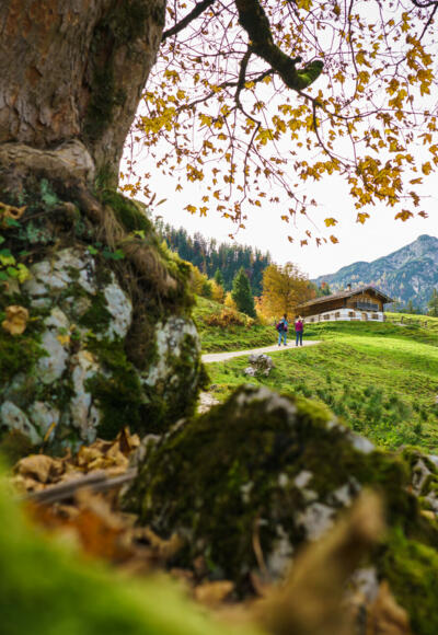 Die Ragert Alm