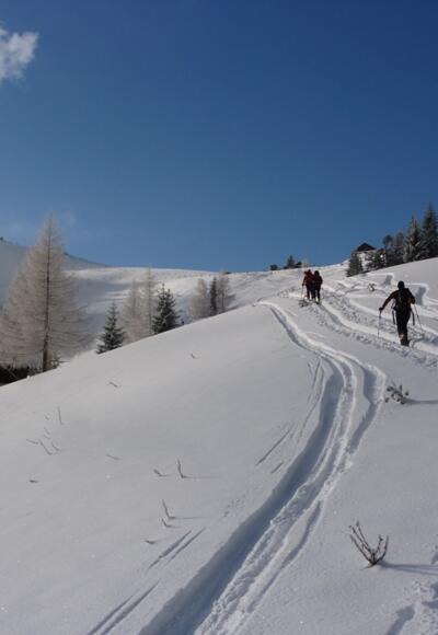 Der Tourenlehrpfad kurz vor dem Sattel zwischen Loibersbacherhöhe und Faistenauer Schafberg