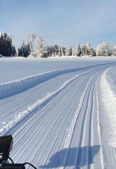 Buch Runde Grünenbach