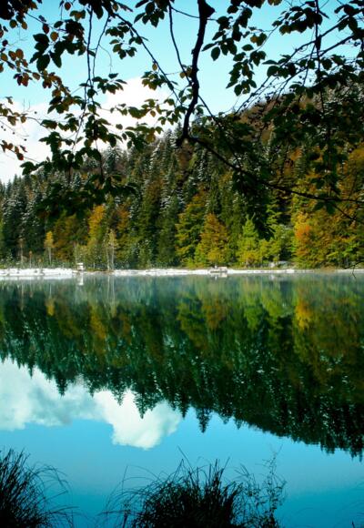 Der malerische Frillensee.