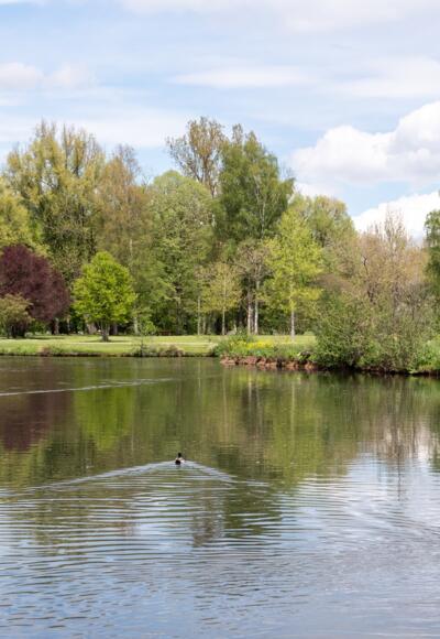 Saale Luitpoldpark