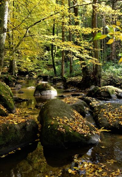 Otterbach, Granitfelsen