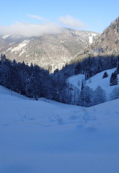 Oberhalb vom Satzsteinhof